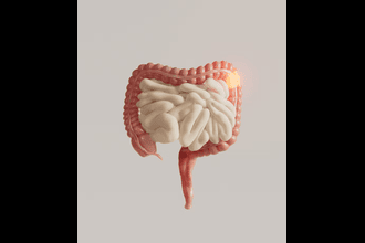 Digestive System Disorder