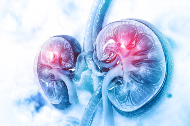 Kidney Functional Disorder