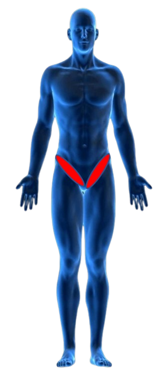 Groin Pain