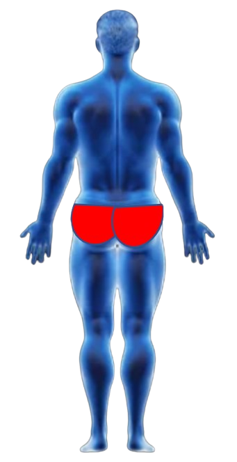 Hip Pain