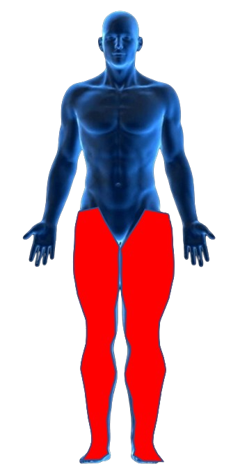 Leg Pain