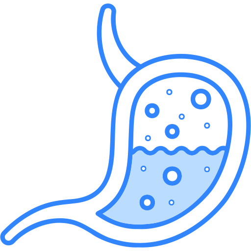Top Digestive System Disorder specialist