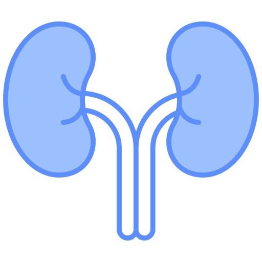 Kidney Functional Disorder