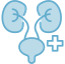 Urinary System Disorder
